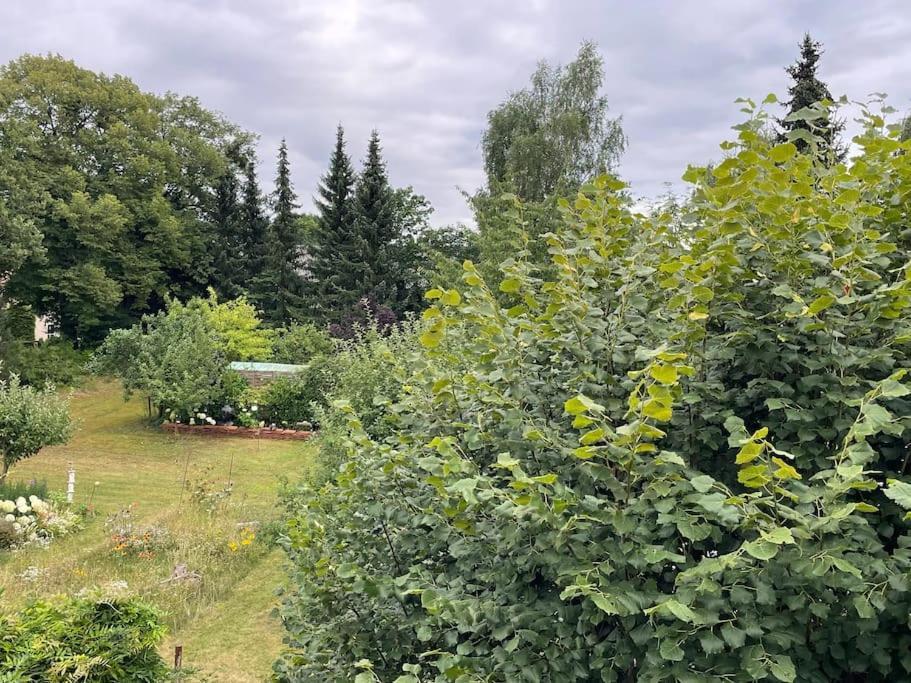 Grosse Wohnung Mit Loggia Templin Zewnętrze zdjęcie